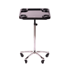 Load image into Gallery viewer, Braids &amp; Freckles • Magnetic Colorist Tray • Chrome
